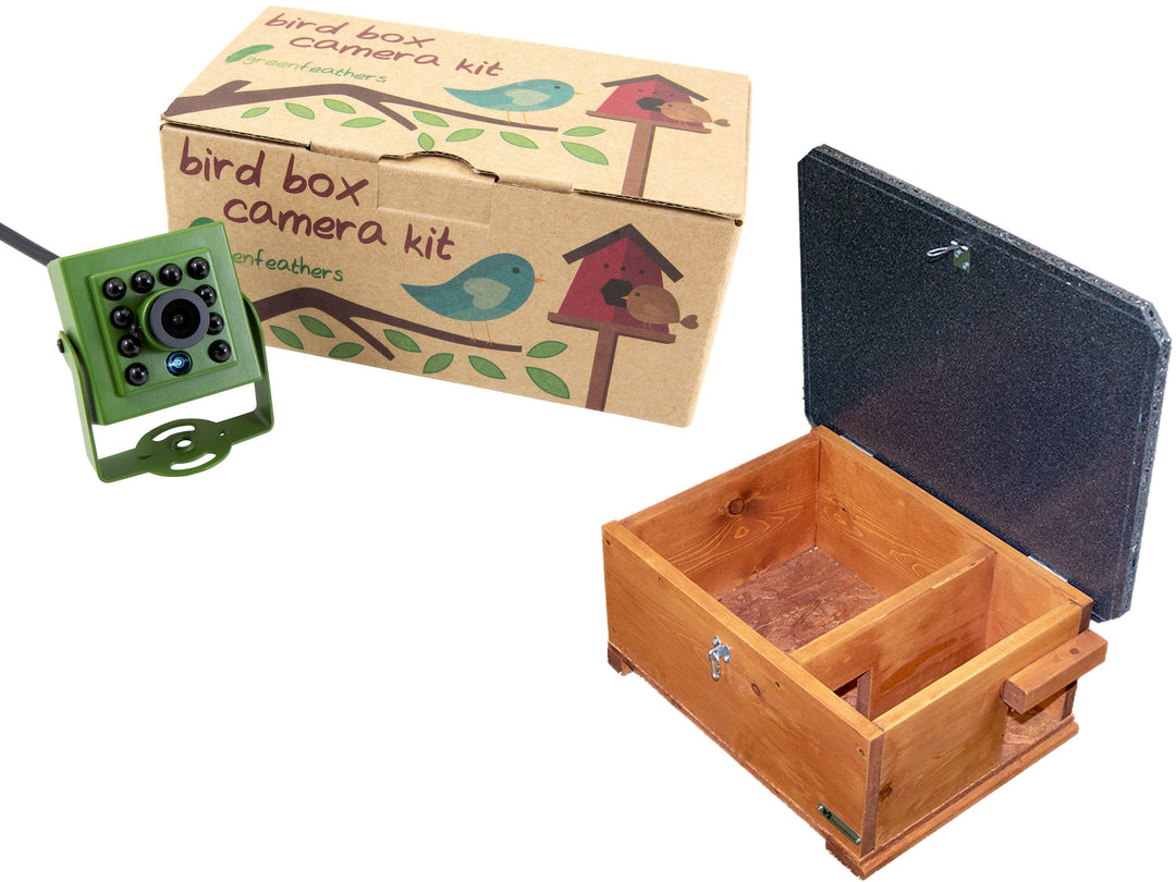 Hedgehog Box Camera HD Deluxe Bundle TV Connection