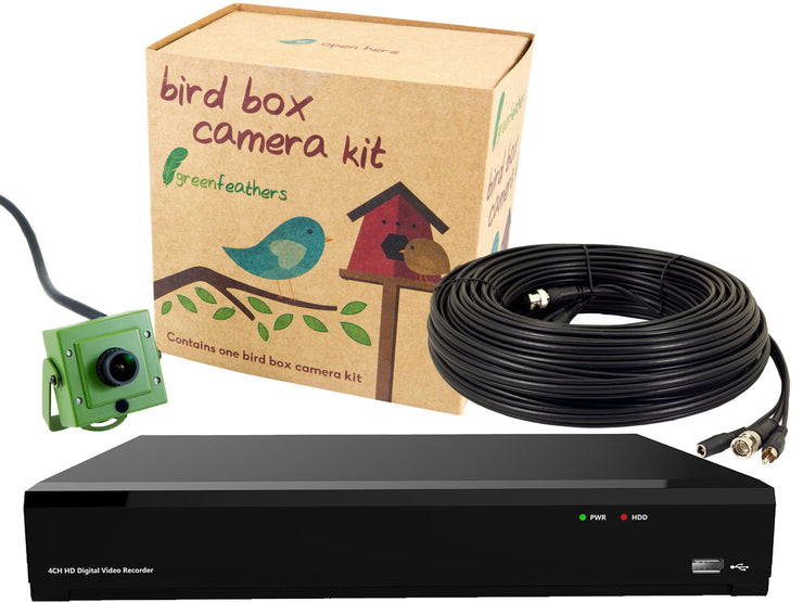 Bird Box Camera 4K Recorder Bundle