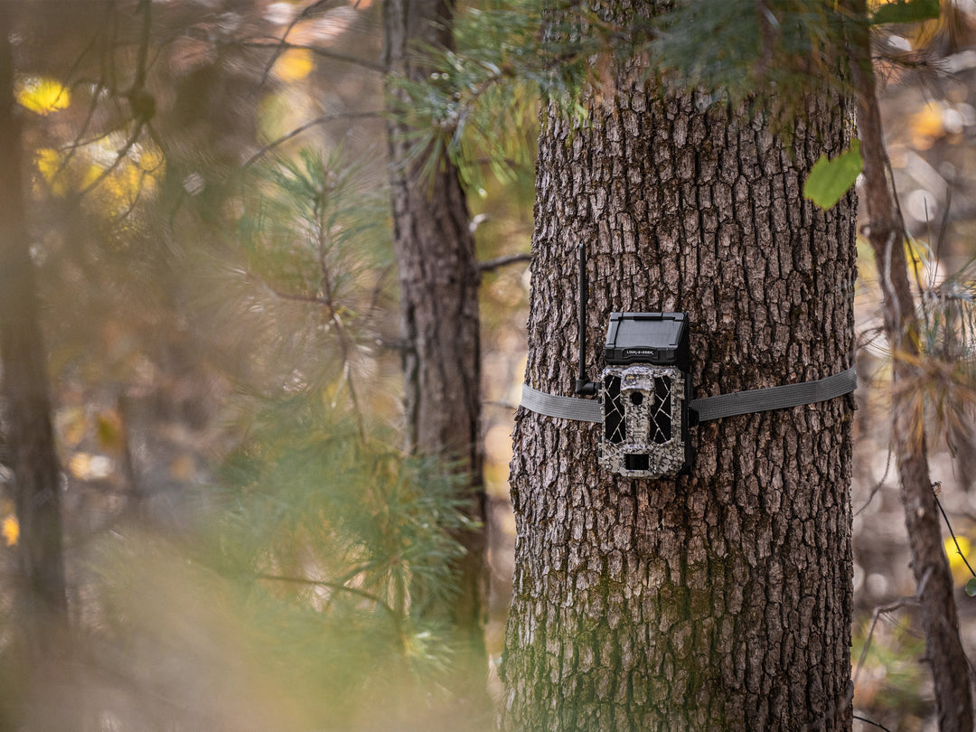 SpyPoint Link 4G Solar Powered Trail Camera